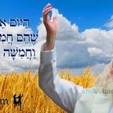 הַיּוֹם אַרְבָּעִים יוֹם לָעוֹמֶר • נוסח ספירת העומר ותפילה מהגה"צ רבי אליעזר ברלנד שליט"א להוד שביסוד