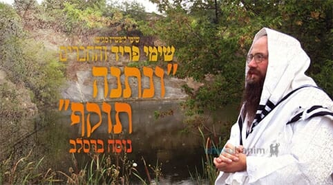 שימי פריד - "ונתנה תוקף": מילים וניגון