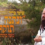 שימי פריד - "ונתנה תוקף": מילים וניגון