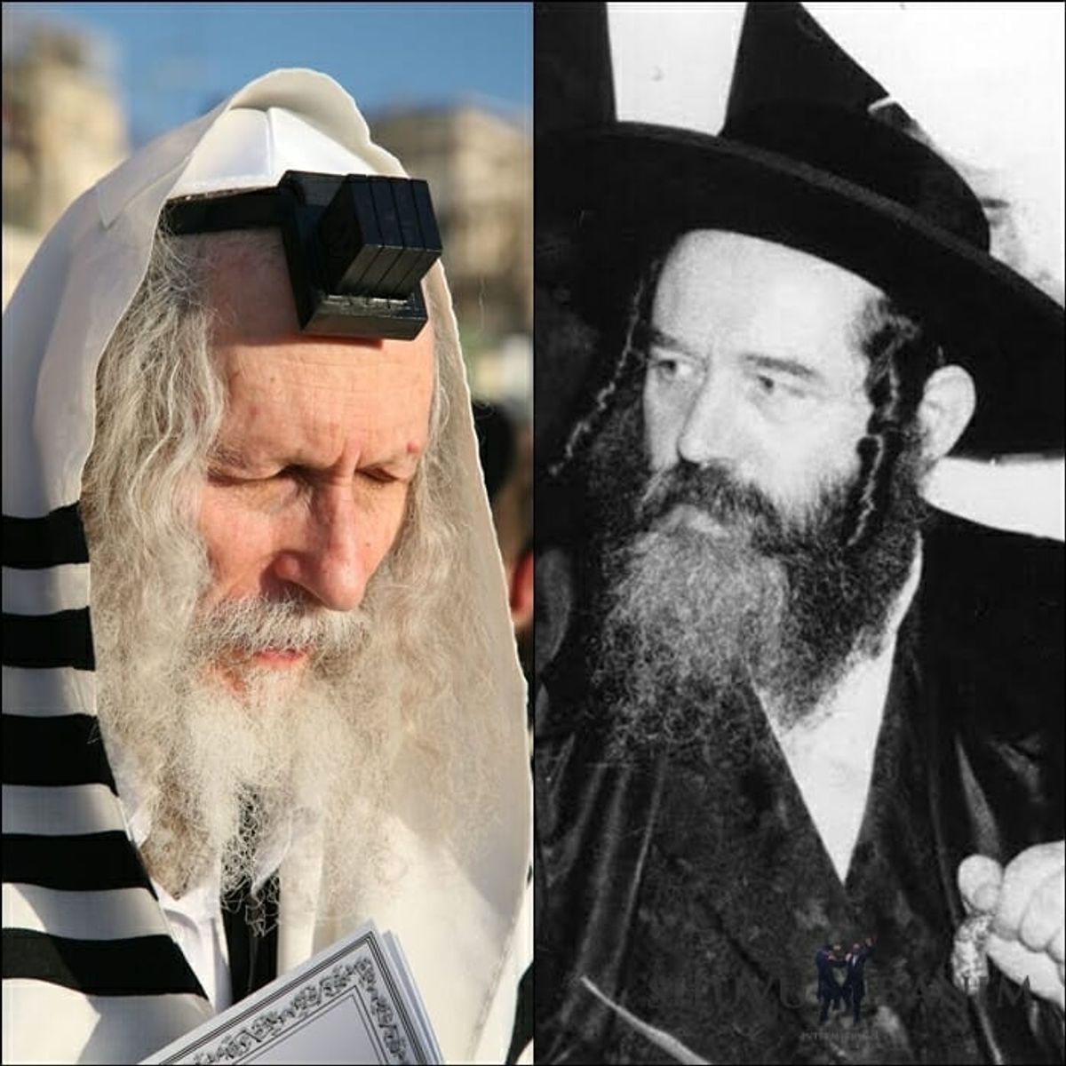 האדמו"ר רבי דוד משה מקרטשניף זצ"ל: "רואים שהשכינה שורה על הרב ברלנד שליט"א"
