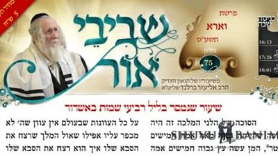 דברי הקודש אש להבה של הגה"צ הרב אליעזר ברלנד שליט"א מהשבוע החולף - שביבי אור 75