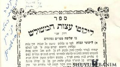 לאור פרסום פרטי ארכיון חדשים - סיפור ההתקרבות של הגה"צ הרב אליעזר ברלנד שליט"א