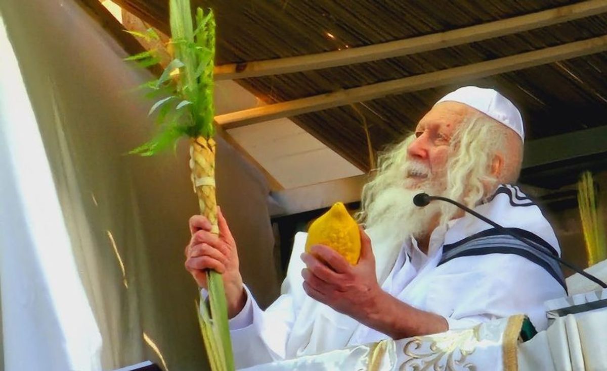 וּלְקַחְתֶּם לָכֶם בַּיּוֹם הָרִאשׁוֹן ◇ סיקור חג סוכות בצילו של הגה"צ רבי אליעזר ברלנד שליט"א