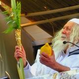 וּלְקַחְתֶּם לָכֶם בַּיּוֹם הָרִאשׁוֹן ◇ סיקור חג סוכות בצילו של הגה"צ רבי אליעזר ברלנד שליט"א