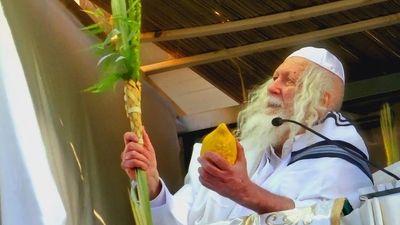 וּלְקַחְתֶּם לָכֶם בַּיּוֹם הָרִאשׁוֹן ◇ סיקור חג סוכות בצילו של הגה"צ רבי אליעזר ברלנד שליט"א