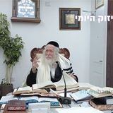 תלמד תורה תהפוך לגאון - החיזוק היומי מהגה"צ הרב אליעזר ברלנד שליט"א