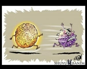 WEBINAR RECORDING PART 6: How to protect ourselves from the next global disaster?