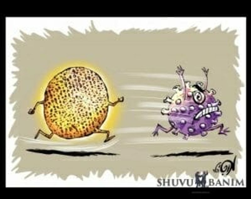 Pesach against the coronavirus 