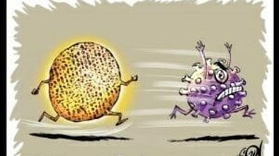 WEBINAR RECORDING PART 6: How to protect ourselves from the next global disaster?