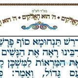 מדוע משה רבינו כעס?  • המאמר היומי מהגה"צ רבי אליעזר ברלנד שליט"א