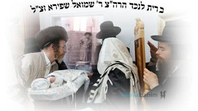 ברית קודש לבן נינו של השרף הקדוש ר' שמואל שפירא זצוק"ל - במעונו של הגה"צ רבי אליעזר ברלנד שליט"א