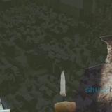 כְּשֶׁהָיִיתִי בְּפּוֹנִיבֶז' שָׁמַעְתִּי בְּשֵׁם הָרַב הַגָּאוֹן ר' יְחֶזְקֵאל לֵוִינְשְׁטֵיְין: קובץ מימרות בשם המשגיח מהגה"צ רבי אליעזר ברלנד שליט"א • ליומא דהילולא