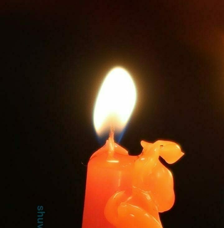 ליומא דהילולא - החסיד רבי משה קליין מחיפה - י"ב ניסן תרפ"ח