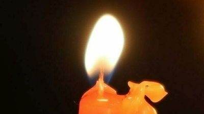 ליומא דהילולא - החסיד רבי משה קליין מחיפה - י"ב ניסן תרפ"ח