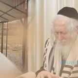 "את רבי אברהם אי אפשר לחקות זה לא בן אדם בכלל. רק ללכת בפשיטות ותמימות"! • רב שיח מהגה"צ רבי אליעזר ברלנד שליט"א ליומא דהילולא של ר' אברהם בן רבי נחמן זיע"א