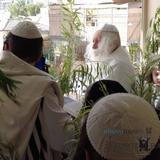 בָּנֶיךָ שׁוֹאֲגִים הוֹשַׁע נָא! ◇ הושענא רבה בצילו של הגה"צ רבי אליעזר ברלנד שליט"א