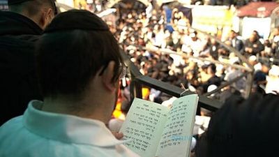 "כָּל הַצַּדִּיקִים נִמְצָאִים בְּאוּמָן" - שִׁעוּרוֹ שֶׁל הגה"צ הָרַב אֱלִיעֶזֶר בֶּרְלַנְד שְׁלִיטָ"א