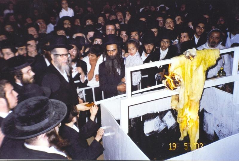 מקור סגולת חי רוטל – מהאר״י הקדוש ועד ימינו
