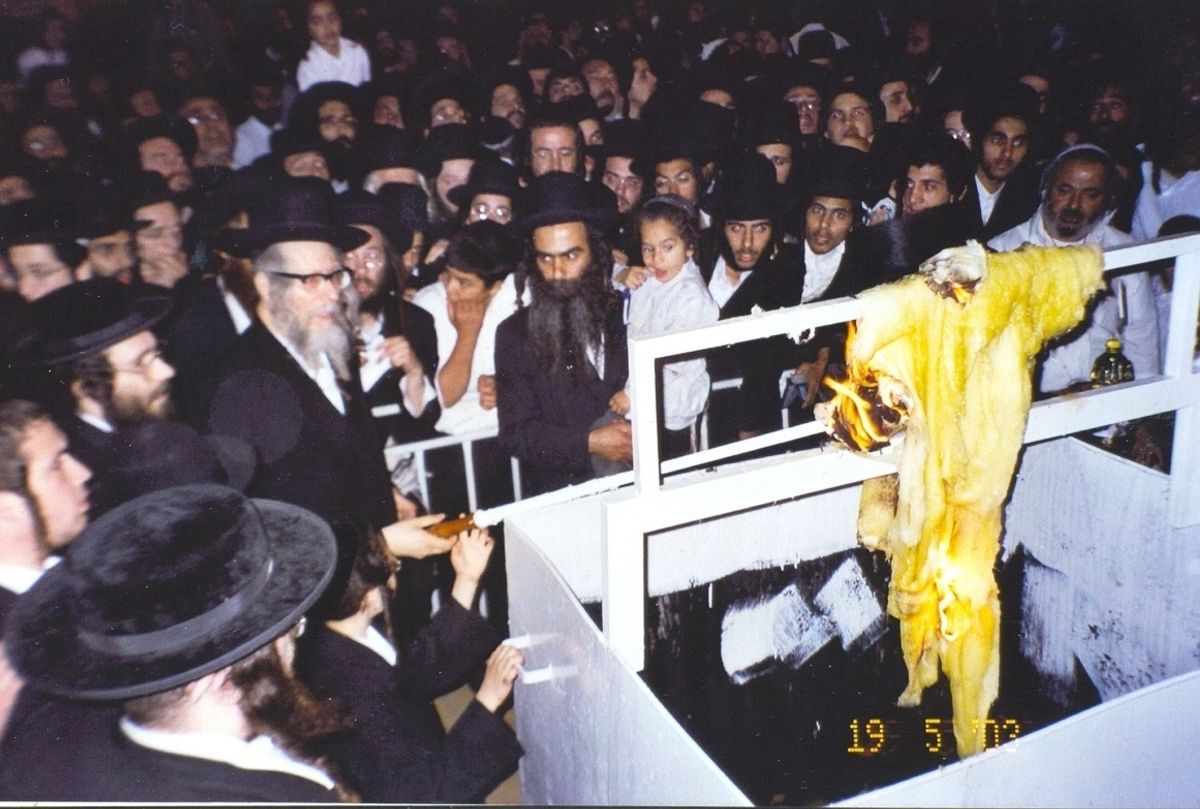 מקור סגולת חי רוטל – מהאר״י הקדוש ועד ימינו