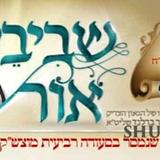 דברי הגה"צ הרב אליעזר ברלנד שליט"א לפרשת חקת - עלון שביבי אור מס' 46