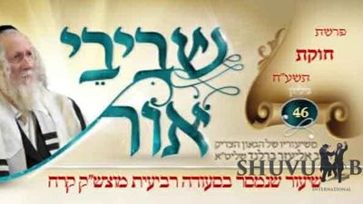 דברי הגה"צ הרב אליעזר ברלנד שליט"א לפרשת חקת - עלון שביבי אור מס' 46