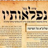 עלון שיחו בכל נפלאותיו - פרשת מטות תשפ"ב