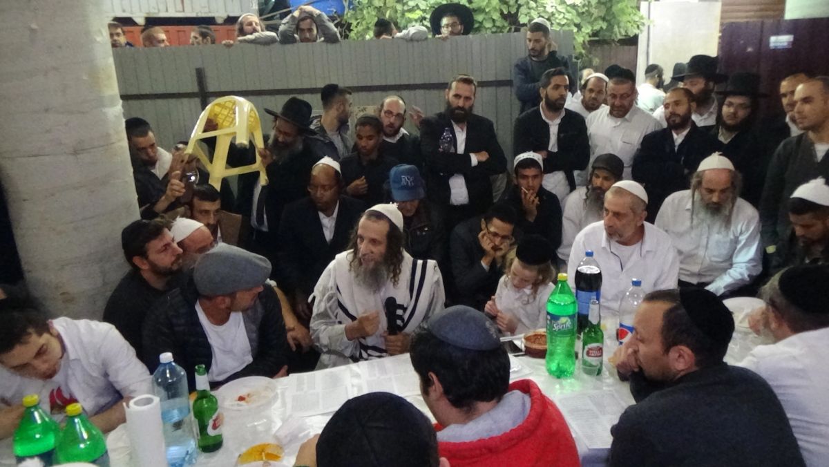 צפו: מלוה מלכה עם הרב עופר ארז באומן ראש השנה תשע"ז