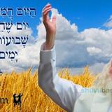 הַיּוֹם חֲמִשָּׁה וְעֶשְׂרִים יוֹם לָעוֹמֶר • נוסח ספירת העומר ותפילה מהגה"צ רבי אליעזר ברלנד שליט"א לנצח שבנצח