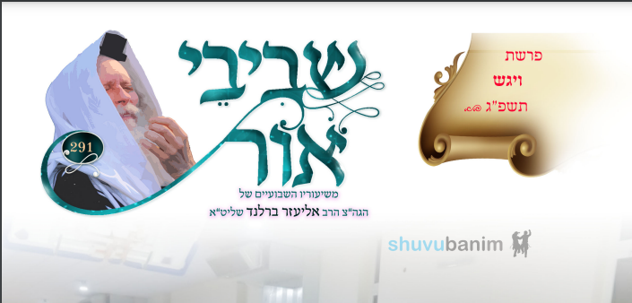 עלוני השבוע של שובו בנים שביבי אור, וילדי הצדיק לפרשת ויגש