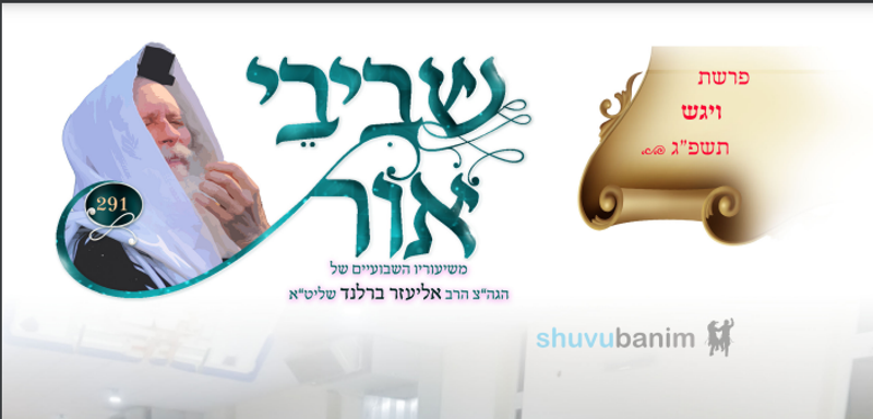 עלוני השבוע של שובו בנים שביבי אור, וילדי הצדיק לפרשת ויגש