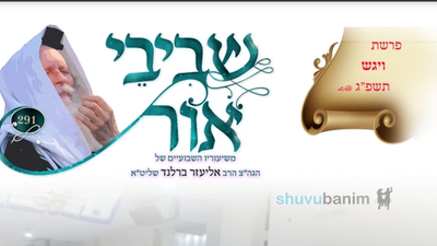 עלוני השבוע של שובו בנים שביבי אור, וילדי הצדיק לפרשת ויגש