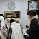 וְאֹמַר לָךְ בְּדָמַיִךְ חֲיִי • ברית לבן נין הגה"צ רבי אליעזר ברלנד שליט"א