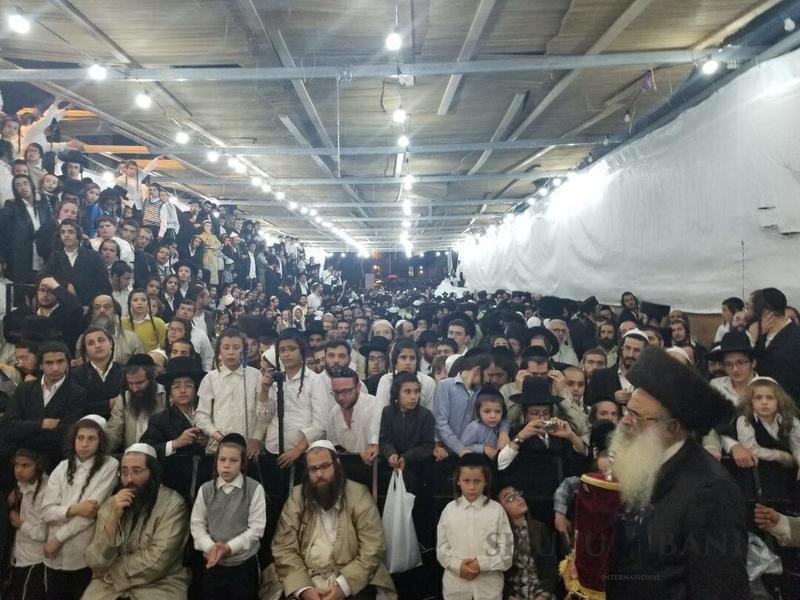 שידור חי! הקפות שניות תש"פ עם הרב אליעזר ברלנד שליט"א