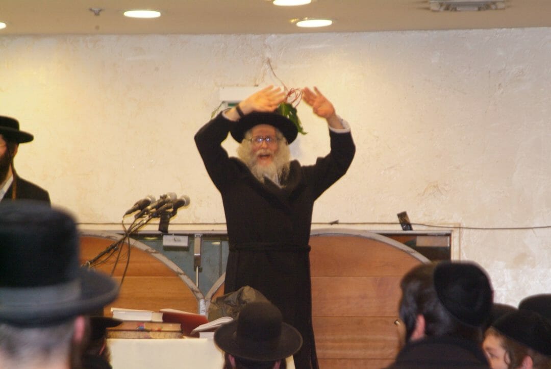 אני יוסף, צדיק האמת מתגלה | פרשת ויגש מהגה"צ הרב אליעזר ברלנד שליט"א