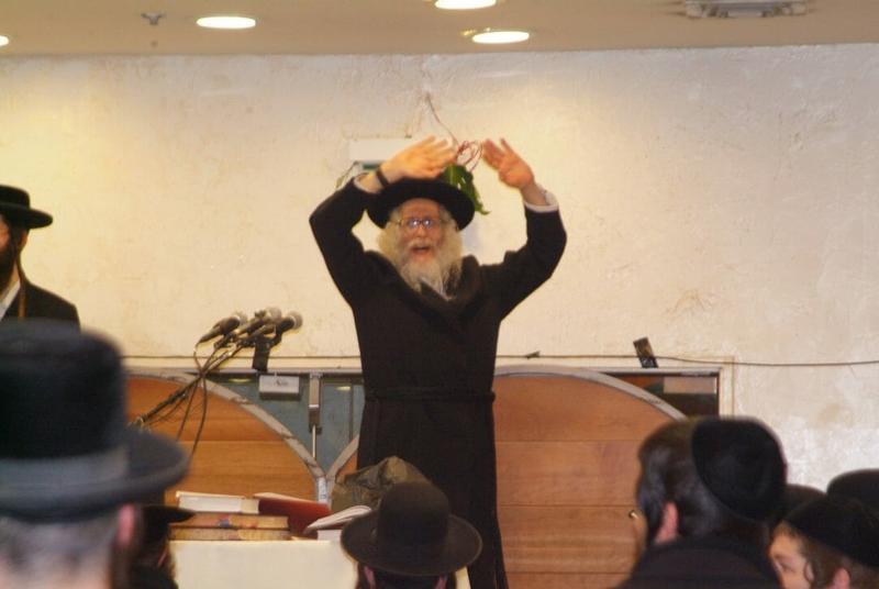 אני יוסף, צדיק האמת מתגלה | פרשת ויגש מהגה"צ הרב אליעזר ברלנד שליט"א