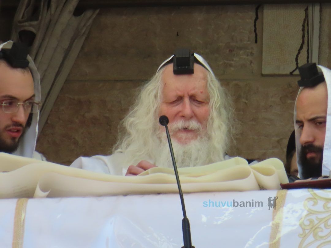 לְהוֹדִיעַ שֶׁכָּל קֹוֶיךָ • יום שושן פורים בצילו של הגה"צ רבי אליעזר ברלנד שליט"א