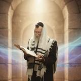 פרשת כי תבוא מאת הגה"צ הרב אליעזר ברלנד שליט"א - "העיקר זה הצעקות שצועקים אל ה’ יום ולילה"