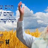 הַיּוֹם עֲשָׂרָה יָמִים שֶׁהֵם שָׁבוּעַ אֶחָד וּשְׁלוֹשָׁה יָמִים לָעֹמֶר • נוסח ספירת העומר ותפילה מהגה"צ רבי אליעזר ברלנד שליט"א לתפארת שבגבורה