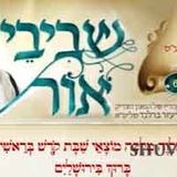 עלון שביבי אור מס' 62 - דברי הגה"צ הרב אליעזר ברלנד שליט"א לפרשת נח