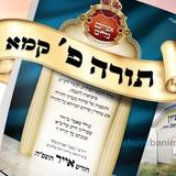 "עַל יְדֵי תְּפִלָּה בְּכַוָּנָה בִּמְסִירוּת נֶפֶשׁ עִלָּאִית שֶׁמּוּכָן לִמְסֹר נַפְשׁוֹ בְּכָל רֶגַע וּשְׁנִיָּה עַל קִדּוּשׁ ה'" • מאמר מהגה"צ רבי אליעזר ברלנד שליט"א לתורה פ' בליקוטי מוהר"ן