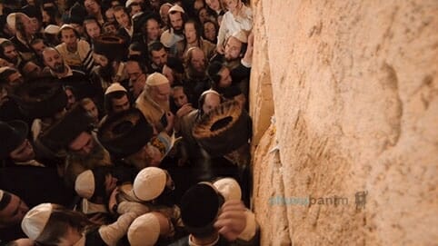 וְשָׁם נַעֲלֶה וְנֵרָאֶה • אלפים עלו יחד עם הגה"צ רבי אליעזר ברלנד שליט"א לכותל המערבי