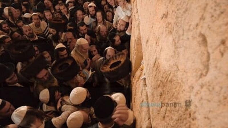 וְשָׁם נַעֲלֶה וְנֵרָאֶה ‏•‏ אלפים עלו יחד עם הגה"צ רבי אליעזר ברלנד שליט"א