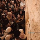 וְשָׁם נַעֲלֶה וְנֵרָאֶה • אלפים עלו יחד עם הגה"צ רבי אליעזר ברלנד שליט"א לכותל המערבי