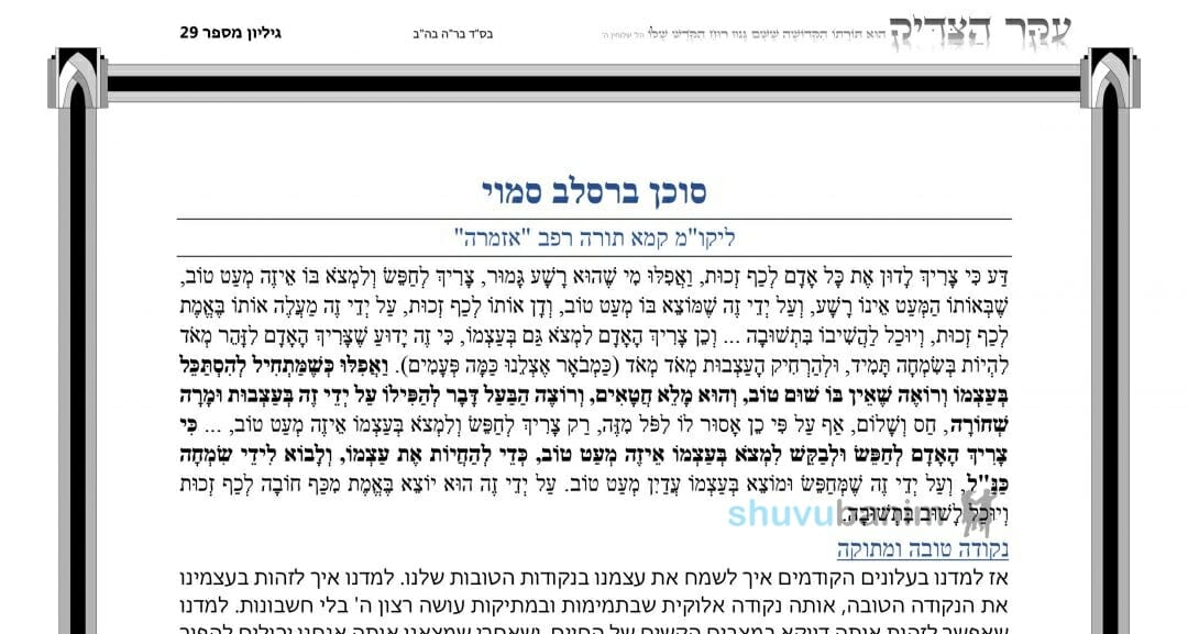 עלון עיקר הצדיק - פרשת מטות תשפ"ב