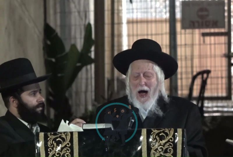 מורנו הרב אליעזר ברלנד שליט"א בזעקה במערת המכפלה