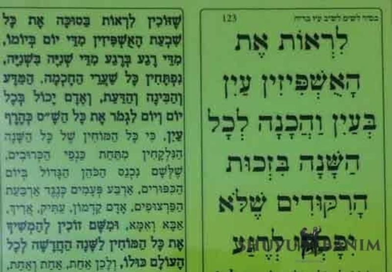 תפילה של הגה"צ הרב אליעזר ברלנד שליט"א לחג הסוכות