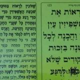 תפילה של הגה"צ הרב אליעזר ברלנד שליט"א לחג הסוכות - לראות את האשפזין עין בעין והכנה לכל השנה בזכות הריקודים