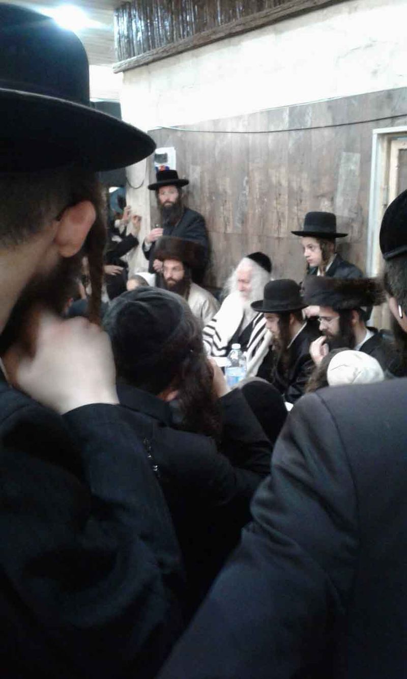 התמונה באדיבות נחמן