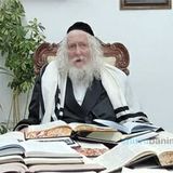 למה התורה והתפילות לא פועלות? החיזוק היומי מהגה"צ הרב אליעזר ברלנד שליט"א