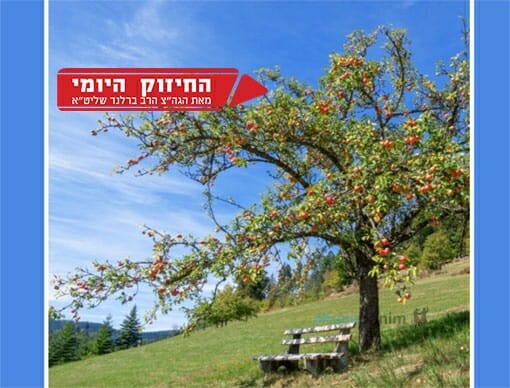 נגעה בתיבה של משה התרפאה - החיזוק היומי מהגה"צ הרב אליעזר ברלנד שליט"א